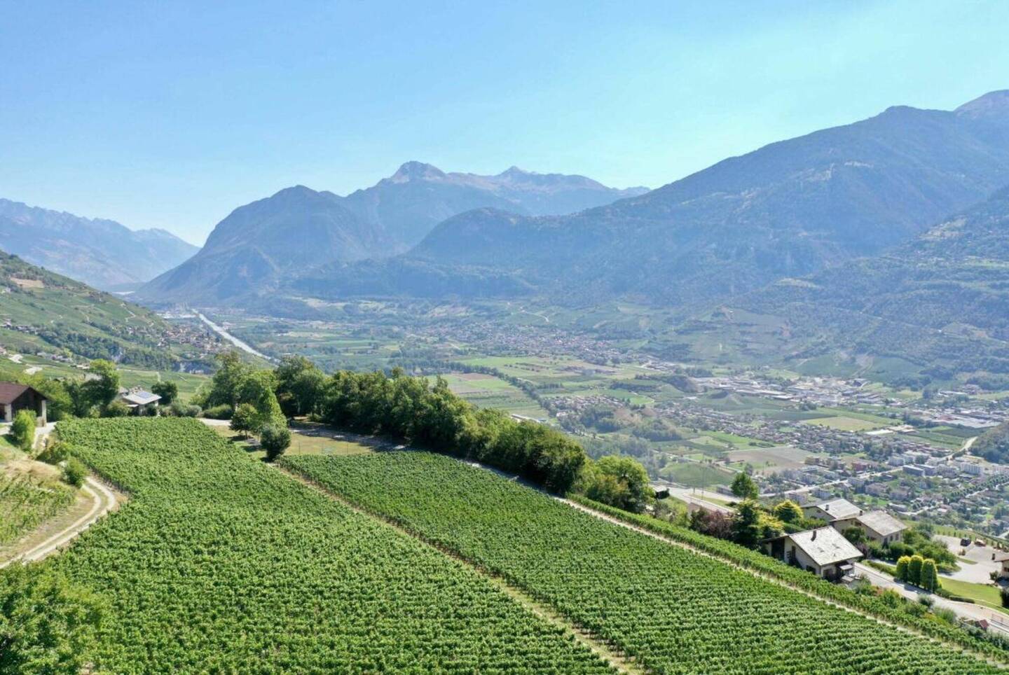 Magnifiques appartements 3.5 pièces avec vue panoramique