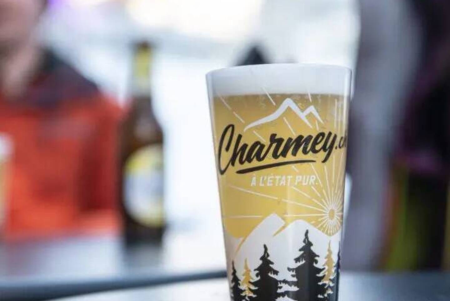 Chalets de standing à Charmey, Crésuz, Châtel sur Montsalvens...