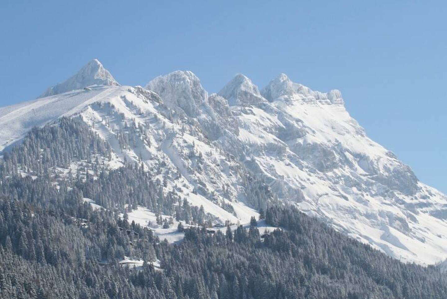 Terrains constructibles avec vue panoramiques à Gryon