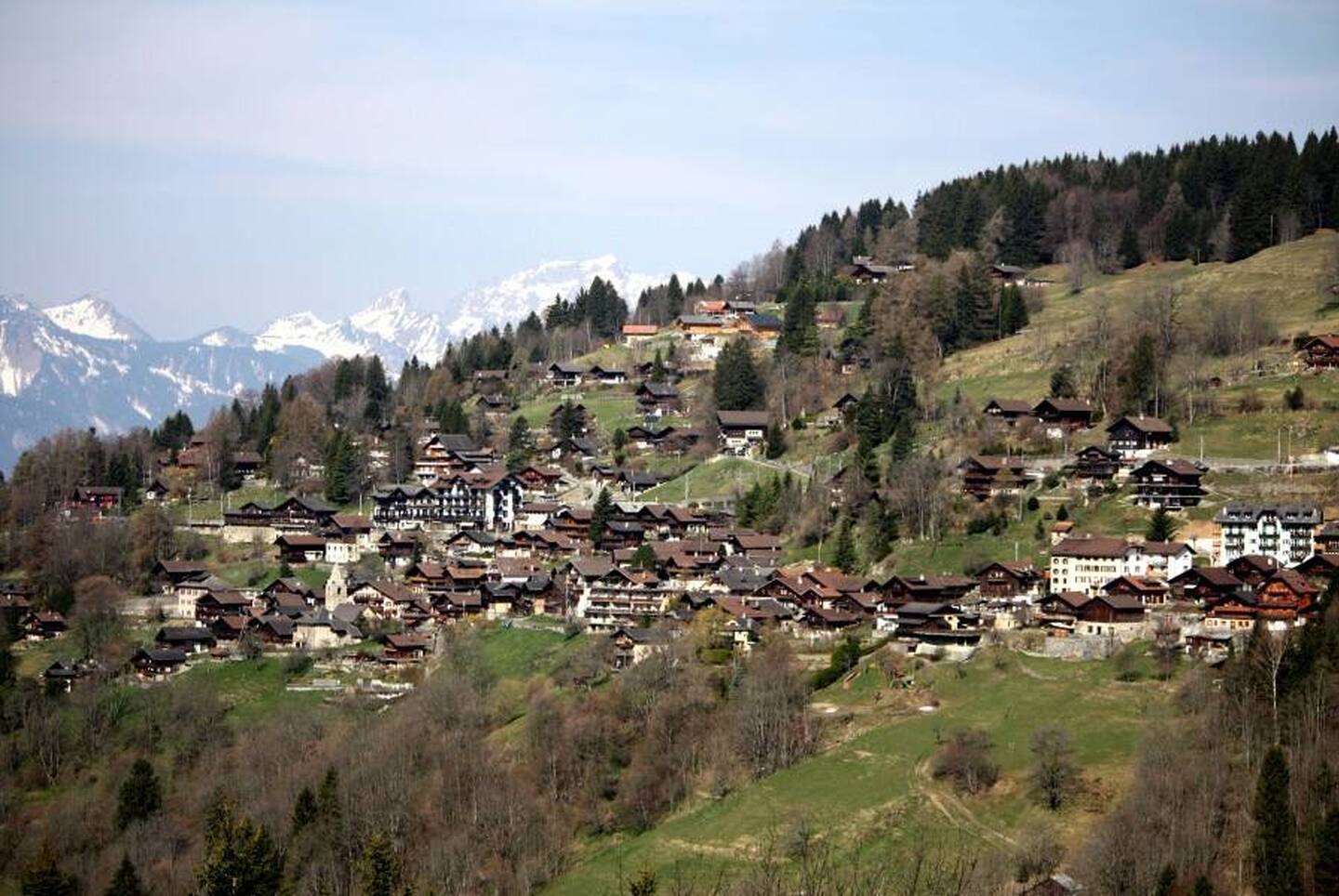 Terrains constructibles avec vue panoramiques à Gryon