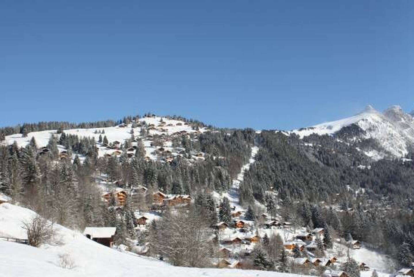 Terrains constructibles avec vue panoramiques à Gryon