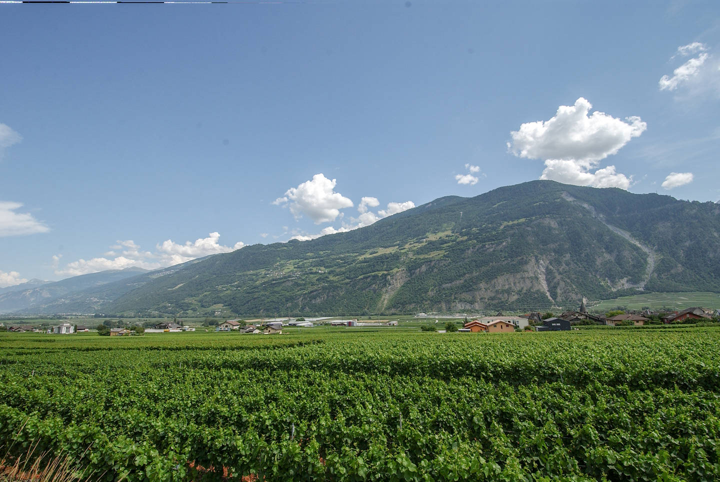 Parcelles avec projets de villas à construire