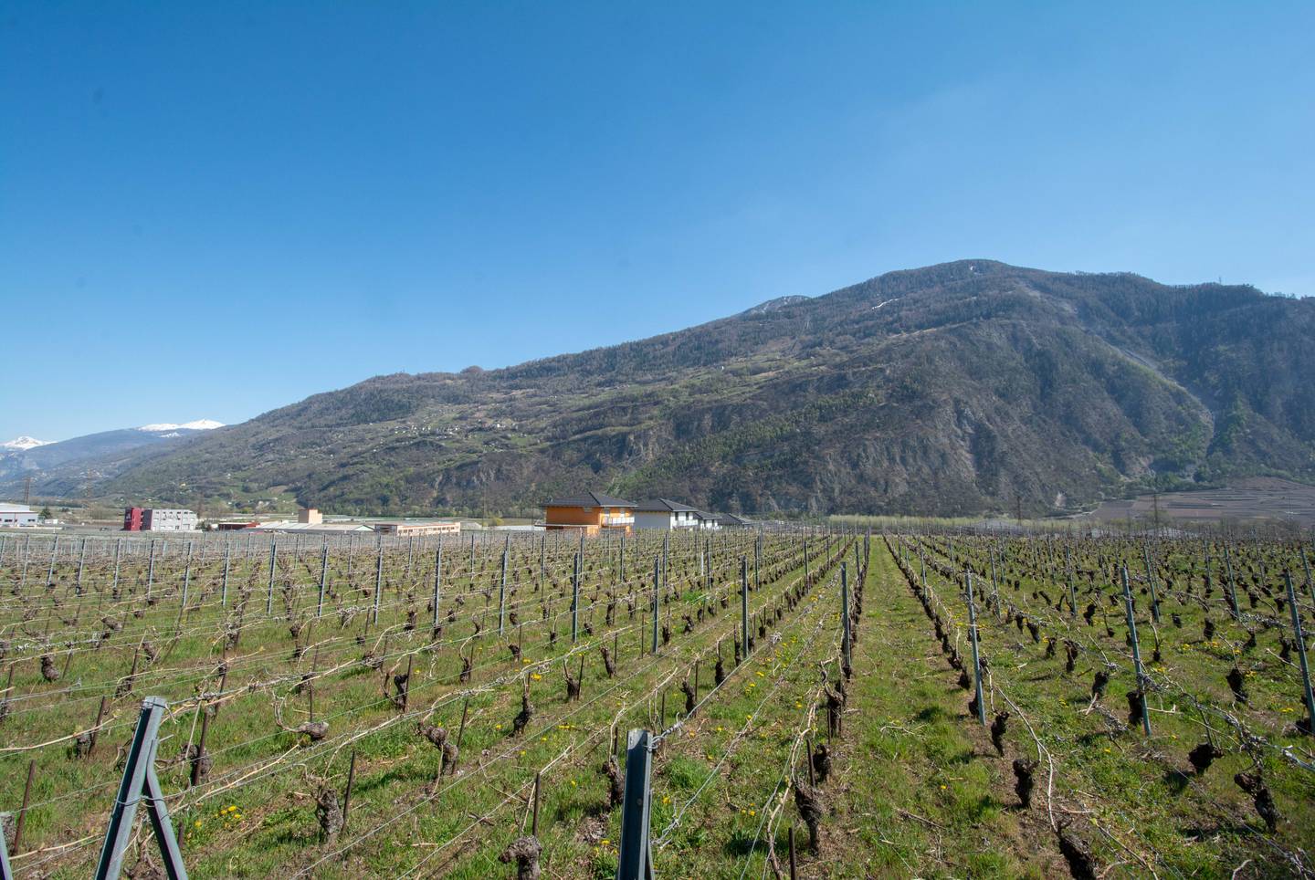 Parcelles avec projets de villas à construire