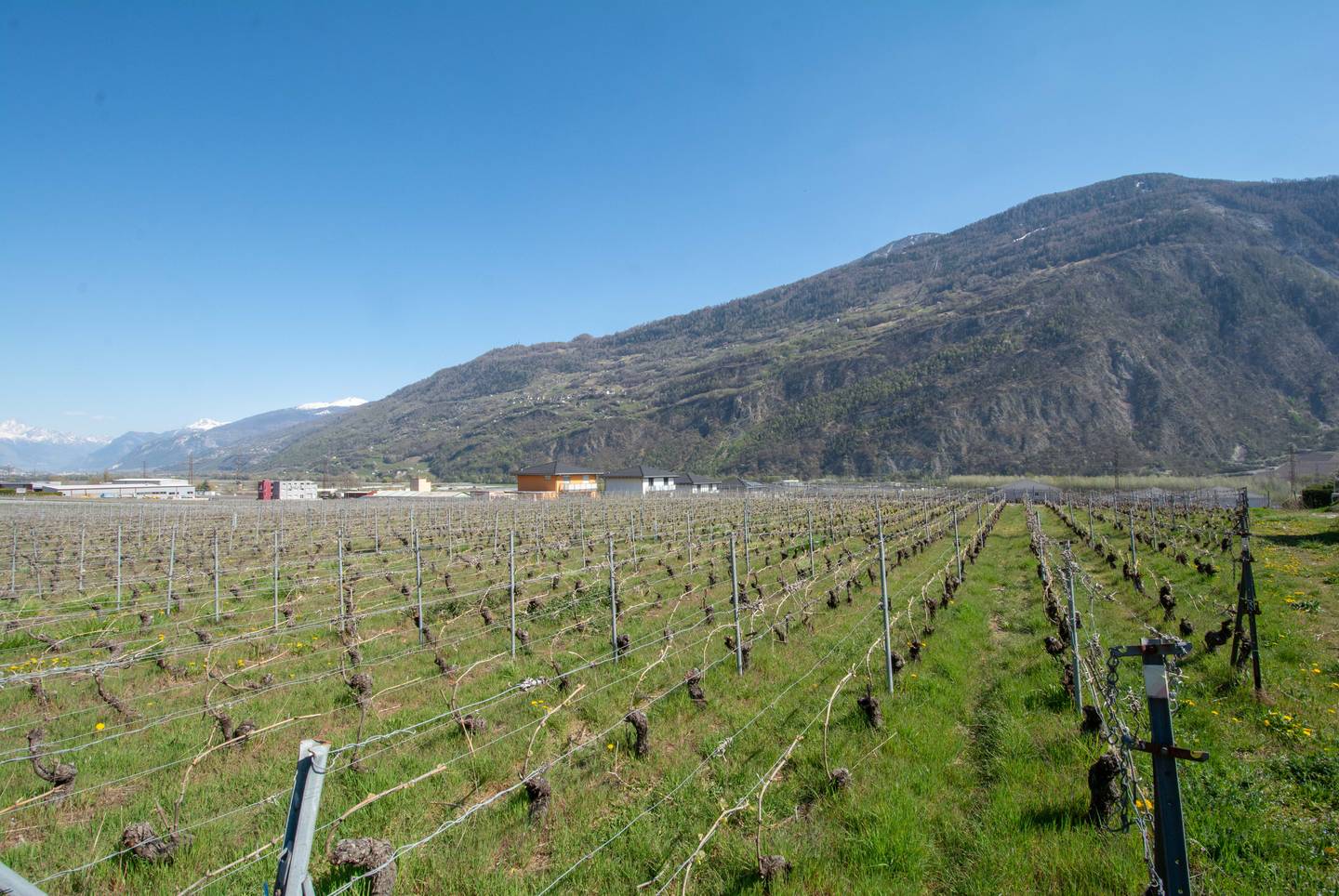 Parcelles avec projets de villas à construire