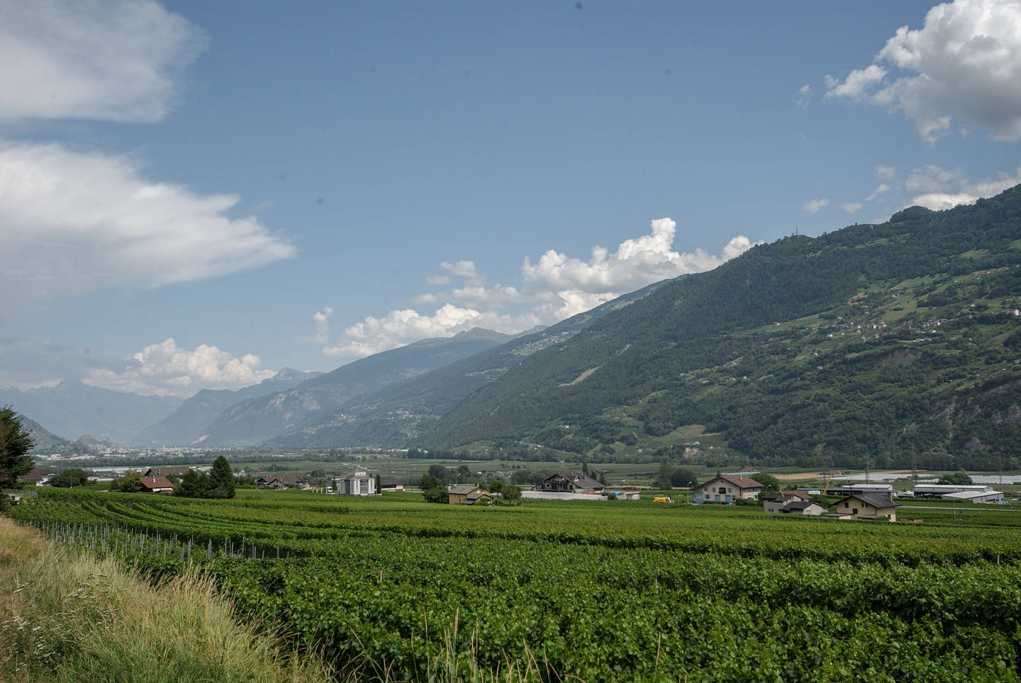 Parcelles avec projets de villas à construire