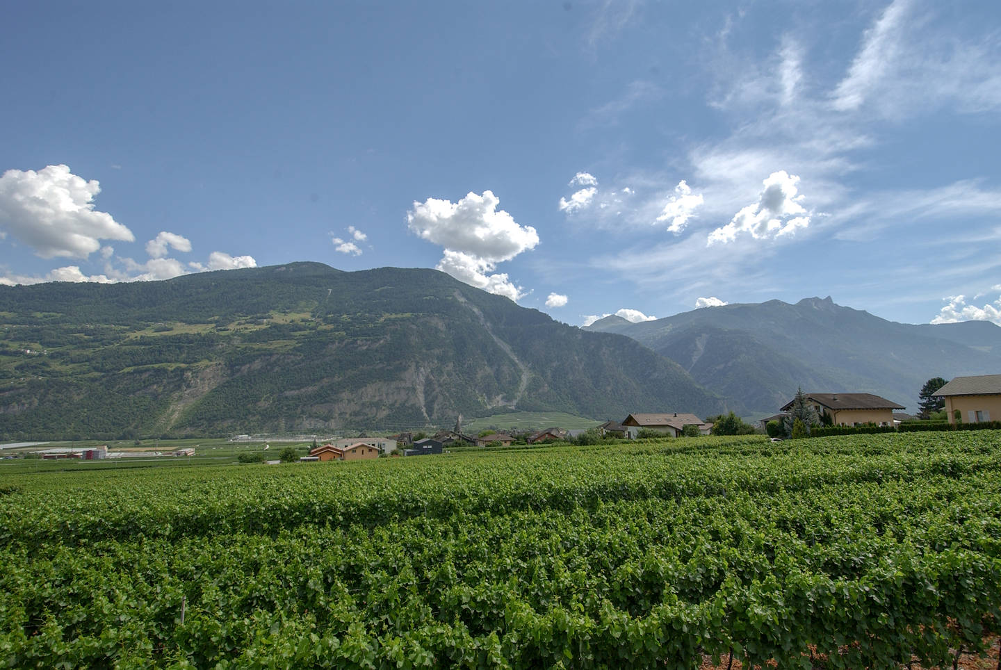 Parcelles avec projets de villas à construire