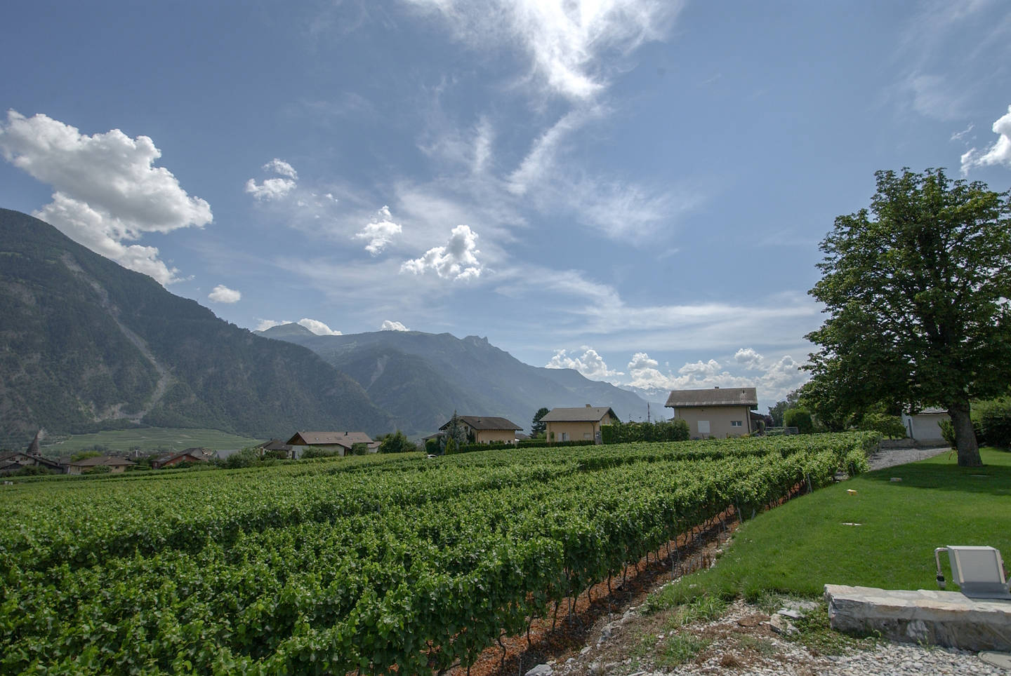 Parcelles avec projets de villas à construire