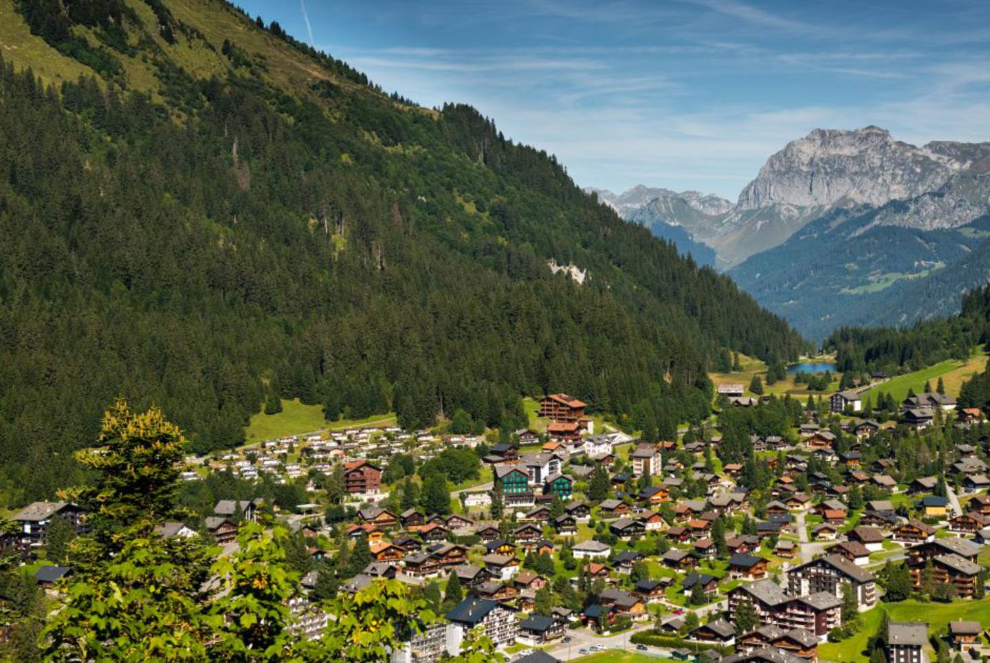 Appartement de 3.5 pièces - Morgins