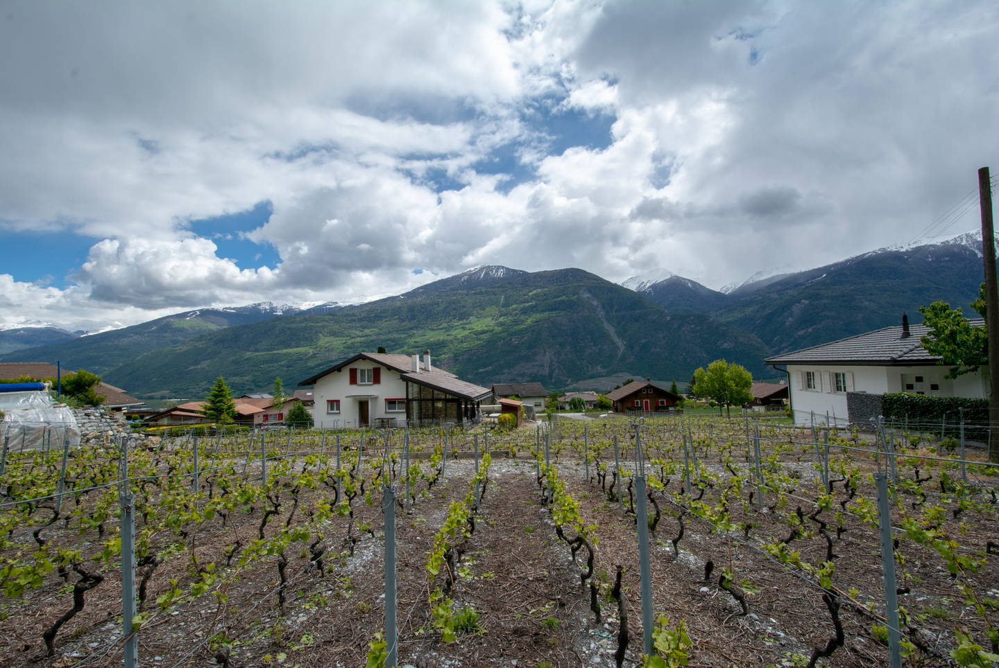 Villas A jumelles de 4.5 pièces - Chamoson